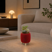 Eden Flame Camu Camu